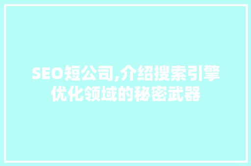 SEO短公司,介绍搜索引擎优化领域的秘密武器