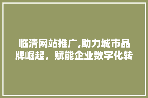临清网站推广,助力城市品牌崛起,赋能企业数字化转型 临清网站推广,助力城市品牌崛起,赋能企业数字化转型