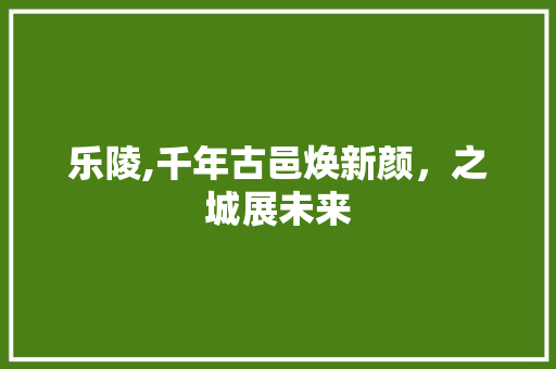 乐陵,千年古邑焕新颜,之城展未来 乐陵,千年古邑焕新颜,之城展未来