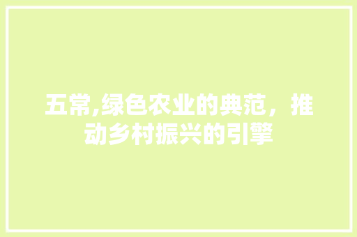 五常,绿色农业的典范，推动乡村振兴的引擎