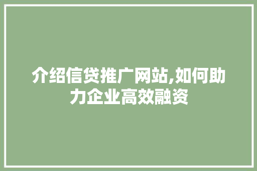 介绍信贷推广网站,如何助力企业高效融资 介绍信贷推广网站,如何助力企业高效融资