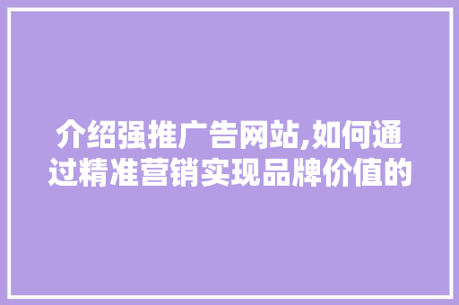 介绍强推广告网站,如何通过精准营销实现品牌价值的最大化