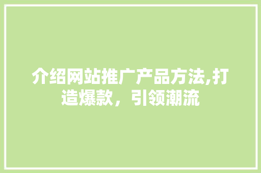 介绍网站推广产品方法,打造爆款，引领潮流