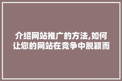介绍网站推广的方法,如何让您的网站在竞争中脱颖而出