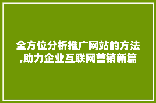 全方位分析推广网站的方法,助力企业互联网营销新篇章