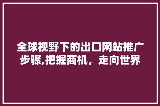 全球视野下的出口网站推广步骤,把握商机，走向世界