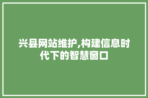 兴县网站维护,构建信息时代下的智慧窗口
