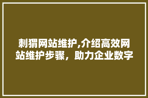 刺猬网站维护,介绍高效网站维护步骤，助力企业数字化转型