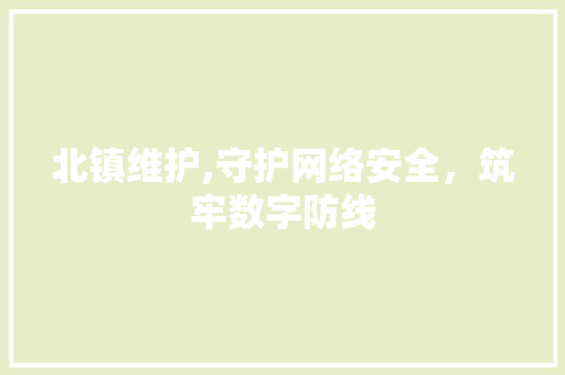 北镇维护,守护网络安全，筑牢数字防线