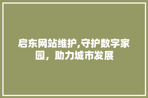 启东网站维护,守护数字家园，助力城市发展