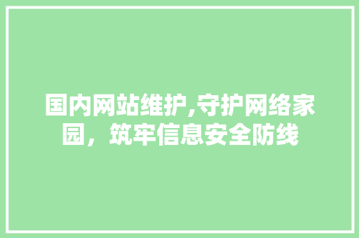 国内网站维护,守护网络家园，筑牢信息安全防线