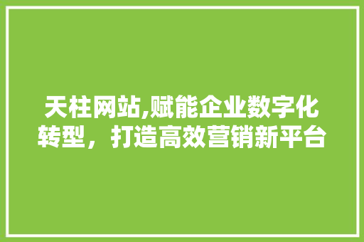 天柱网站,赋能企业数字化转型，打造高效营销新平台