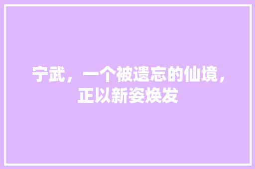 宁武，一个被遗忘的仙境，正以新姿焕发