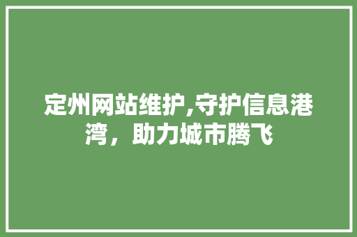 定州网站维护,守护信息港湾，助力城市腾飞