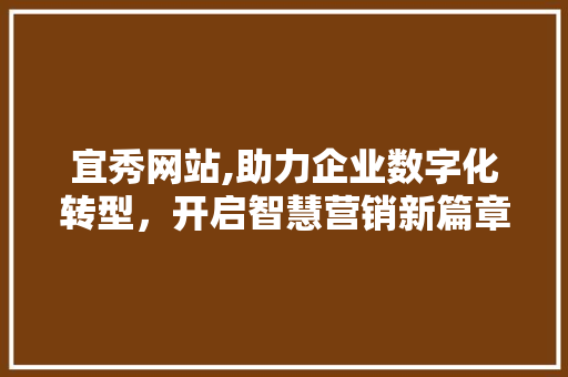 宜秀网站,助力企业数字化转型，开启智慧营销新篇章