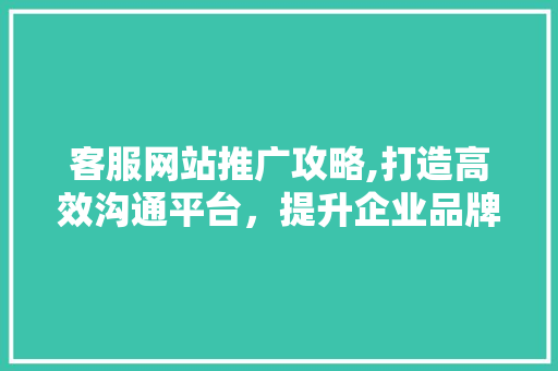 客服网站推广攻略,打造高效沟通平台，提升企业品牌形象