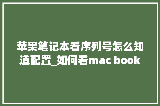 苹果笔记本看序列号怎么知道配置_如何看mac book配置