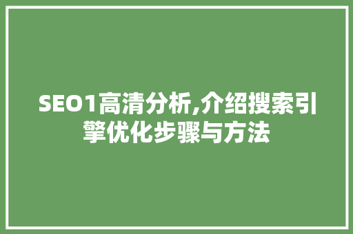 SEO1高清分析,介绍搜索引擎优化步骤与方法