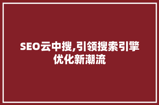 SEO云中搜,引领搜索引擎优化新潮流
