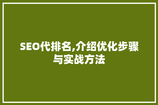 SEO代排名,介绍优化步骤与实战方法 电脑故障维修 SEO代排名,介绍优化步骤与实战方法 电脑故障维修