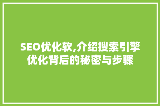 SEO优化软,介绍搜索引擎优化背后的秘密与步骤