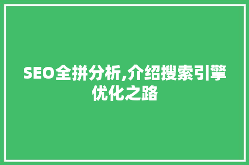 SEO全拼分析,介绍搜索引擎优化之路