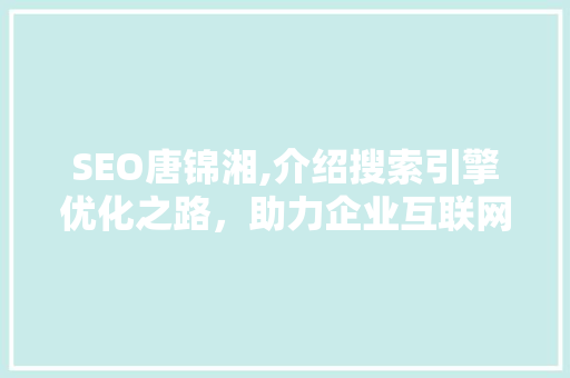 SEO唐锦湘,介绍搜索引擎优化之路，助力企业互联网发展