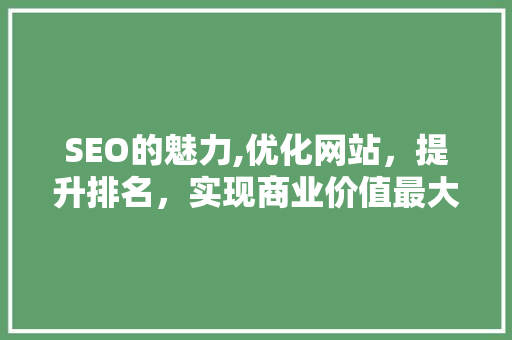 SEO的魅力,优化网站，提升排名，实现商业价值最大化
