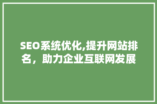 SEO系统优化,提升网站排名，助力企业互联网发展