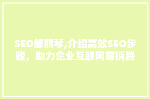 SEO邹丽琴,介绍高效SEO步骤，助力企业互联网营销腾飞