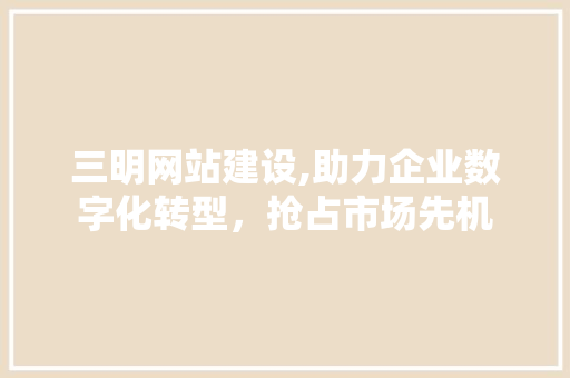 三明网站建设,助力企业数字化转型，抢占市场先机 电脑配置