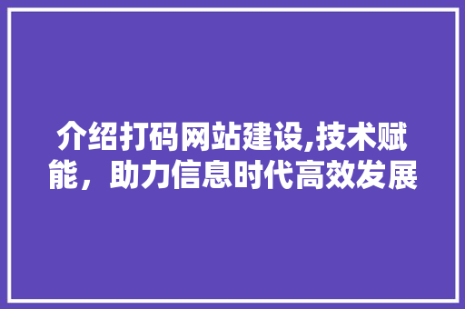 介绍打码网站建设,技术赋能，助力信息时代高效发展 网络技术