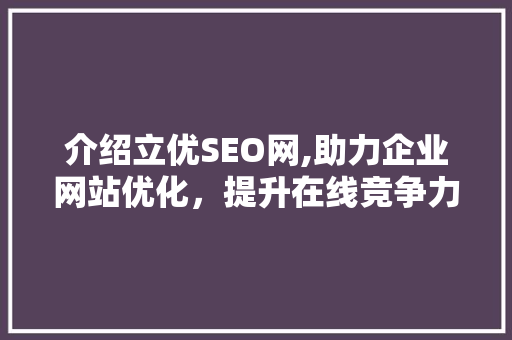 介绍立优SEO网,助力企业网站优化，提升在线竞争力