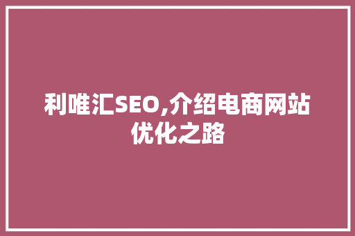 利唯汇SEO,介绍电商网站优化之路