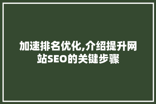 加速排名优化,介绍提升网站SEO的关键步骤 加速排名优化,介绍提升网站SEO的关键步骤
