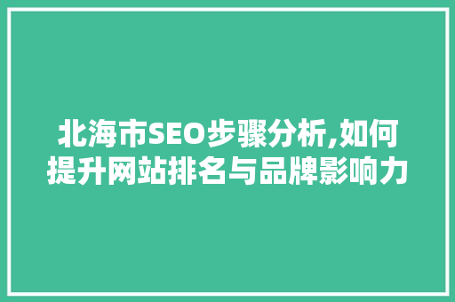 北海市SEO步骤分析,如何提升网站排名与品牌影响力 编程语言