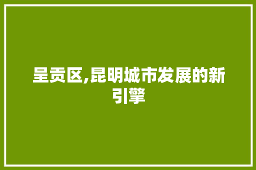 呈贡区,昆明城市发展的新引擎