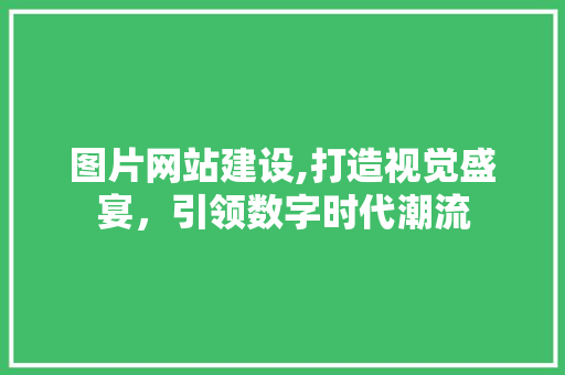 图片网站建设,打造视觉盛宴，引领数字时代潮流