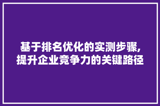 基于排名优化的实测步骤,提升企业竞争力的关键路径