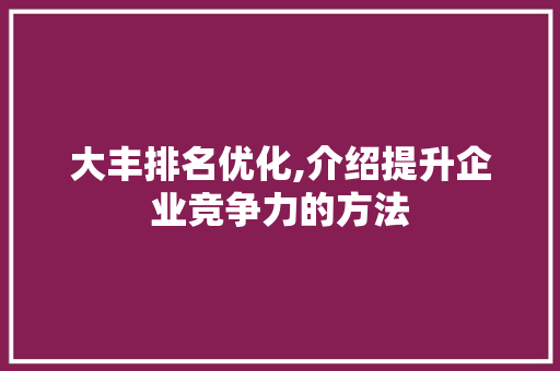 大丰排名优化,介绍提升企业竞争力的方法 大丰排名优化,介绍提升企业竞争力的方法