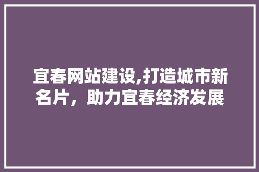 宜春网站建设,打造城市新名片，助力宜春经济发展