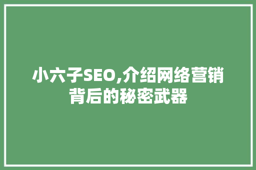 小六子SEO,介绍网络营销背后的秘密武器