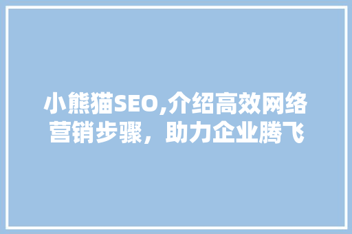 小熊猫SEO,介绍高效网络营销步骤，助力企业腾飞
