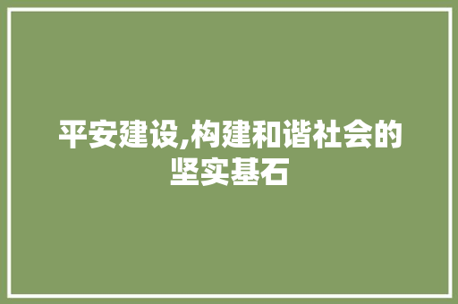 平安建设,构建和谐社会的坚实基石