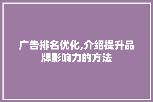 广告排名优化,介绍提升品牌影响力的方法 编程语言