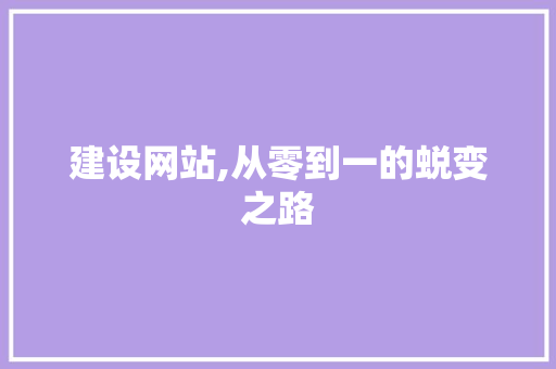建设网站,从零到一的蜕变之路