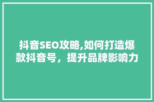 抖音SEO攻略,如何打造爆款抖音号，提升品牌影响力 电脑配置