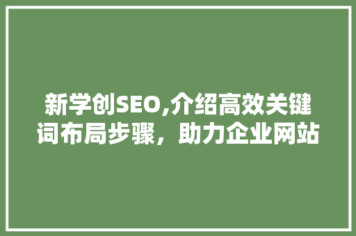 新学创SEO,介绍高效关键词布局步骤，助力企业网站优化