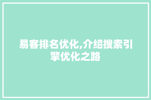 易客排名优化,介绍搜索引擎优化之路