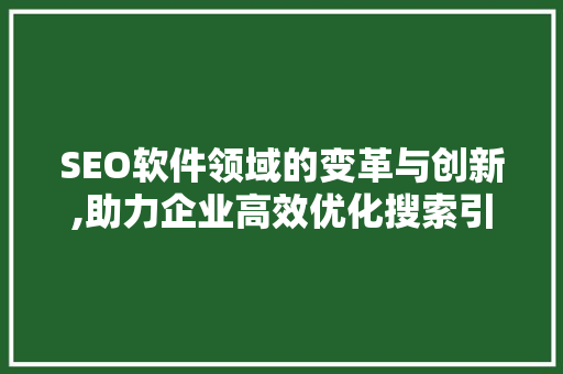 SEO软件领域的变革与创新,助力企业高效优化搜索引擎排名